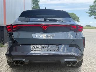 Cupra Formentor 2.0 VZ 245 KW AKRA  PANO SFEER picture 4