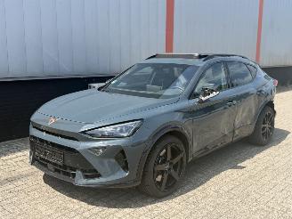 Cupra Formentor 2.0 VZ 245 KW AKRA  PANO SFEER picture 26