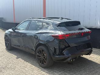 Cupra Formentor 2.0 VZ 245 KW AKRA  PANO SFEER picture 29