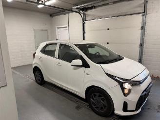 Schadeauto Kia Picanto  2025/5