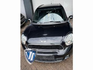 Mini Countryman  picture 4