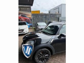 Mini Countryman  picture 3