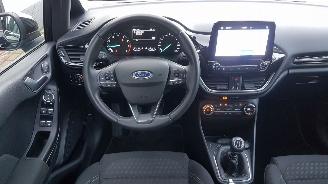 Ford Fiesta TITANIUM picture 9