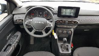 Dacia Sandero STEPWAY picture 16