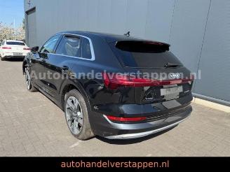 Avarii autoturisme Audi E-tron 55 Quattro Advanced 300KW 2019/9