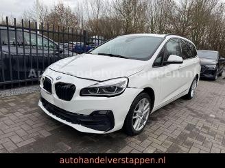 Damaged car BMW 2-serie 18I Gran Coupé Advantage Automatik 7-sitzer 2020/3