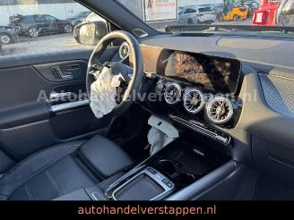 Mercedes EQA 250+ AMG SPORT Pano Burm HUD Facelift picture 19
