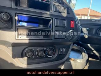 DAF XF 460 FR Super Cab Euro6 picture 19