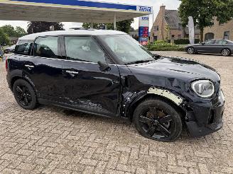 Mini Countryman  picture 7