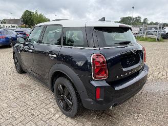 Mini Countryman  picture 16