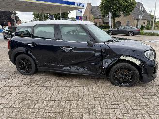 Mini Countryman  picture 8