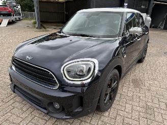 Mini Countryman  picture 2