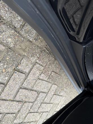 Mini Countryman  picture 22