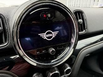 Mini Countryman  picture 31