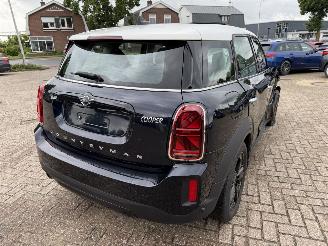 Mini Countryman  picture 13