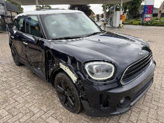 Mini Countryman  picture 5