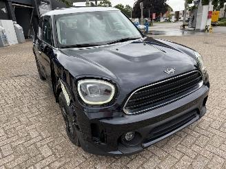 Mini Countryman  picture 4
