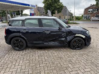Mini Countryman  picture 9