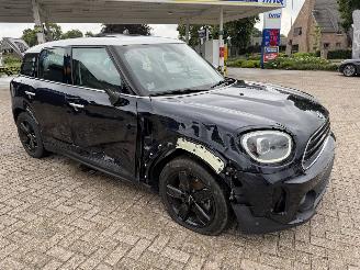 Mini Countryman  picture 6