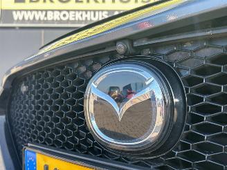 Mazda 3 2.0 e-SkyActiv-X M Hybrid 180 Luxury picture 29