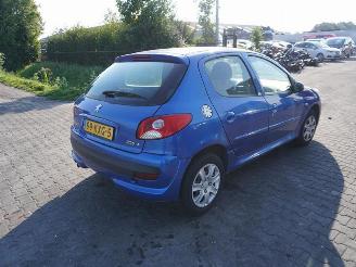 Peugeot 206+ 1.4 picture 1