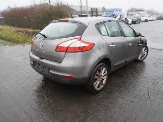 Renault Mégane 1.6 16v picture 1