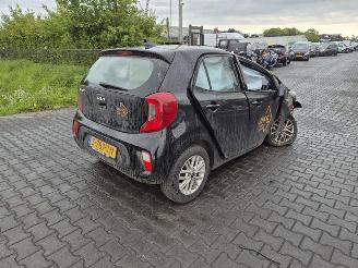 Vrakbiler auto Kia Picanto 1.0 2023/4