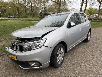 skadebil auto Dacia Sandero  2019/1