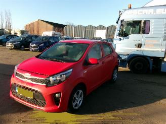 damaged passenger cars Kia Picanto 1.0 Easy 5 Drs - Airco 2021/1