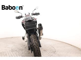 BMW  F 900 GS picture 7