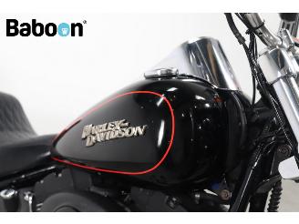 Harley-Davidson  FXSTB Night Train picture 11