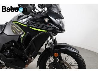 Kawasaki Versys 300 picture 9