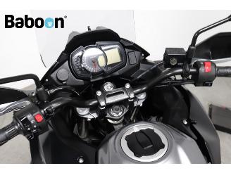 Kawasaki Versys 300 picture 17
