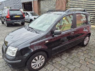 Fiat Panda 1.2 dynamic picture 5