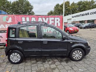 Fiat Panda 1.2 dynamic picture 2