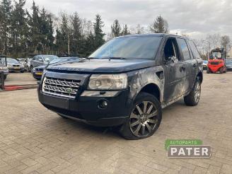 Auto da rottamare Land Rover Freelander Freelander II, Terreinwagen, 2006 / 2014 2.2 td4 16V 2010/12