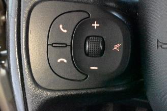 Fiat 500L  picture 29