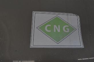 Fiat 500L  picture 13