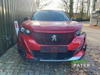 Peugeot 2008 2008 (UD/UK/UR/US/UX), MPV, 2019 e-2008 50 kWh picture 2