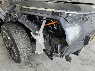 Kia Niro EV DynamicLine 64.8 kWh picture 10