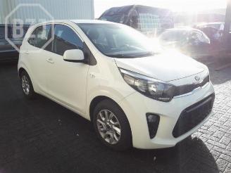 Kia Picanto Picanto (JA), Hatchback, 2017 1.0 12V picture 2