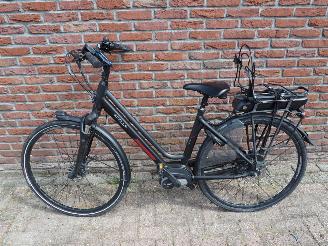 skadebil fiets Stella  Vincenza 2024/6