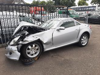 disassembly passenger cars Mercedes SLK 200 2005/11