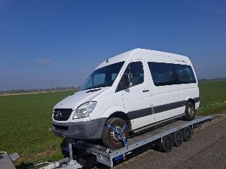 Mercedes Sprinter 313 CDI picture 1