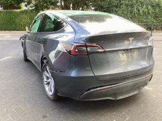 Tesla Model Y Model Y (5YJY), SUV, 2019 RWD picture 7