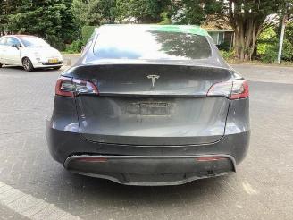Tesla Model Y Model Y (5YJY), SUV, 2019 RWD picture 6