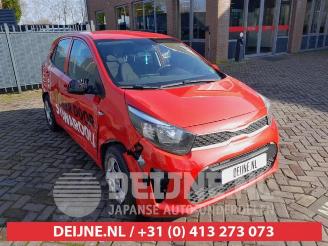 Kia Picanto Picanto (JA), Hatchback, 2017 1.0 12V picture 1