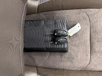 Citroën DS4 1.6 VTi So Chic Clima picture 13