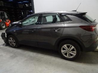 Opel Grandland 1.2 TURBO picture 1