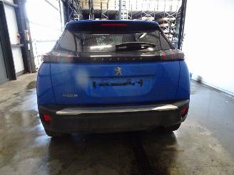 Peugeot 2008 1.2 THP picture 2